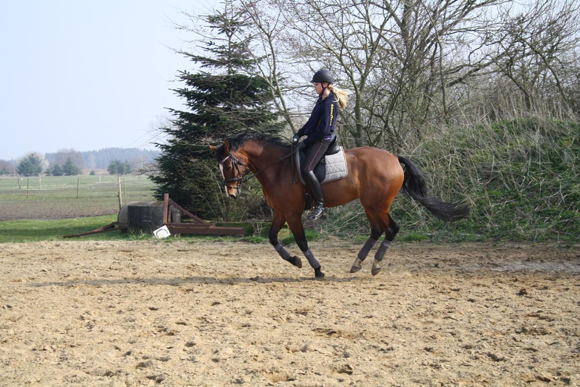 Oldenborg Narnio Roi - 30 Marts 2014 billede 41