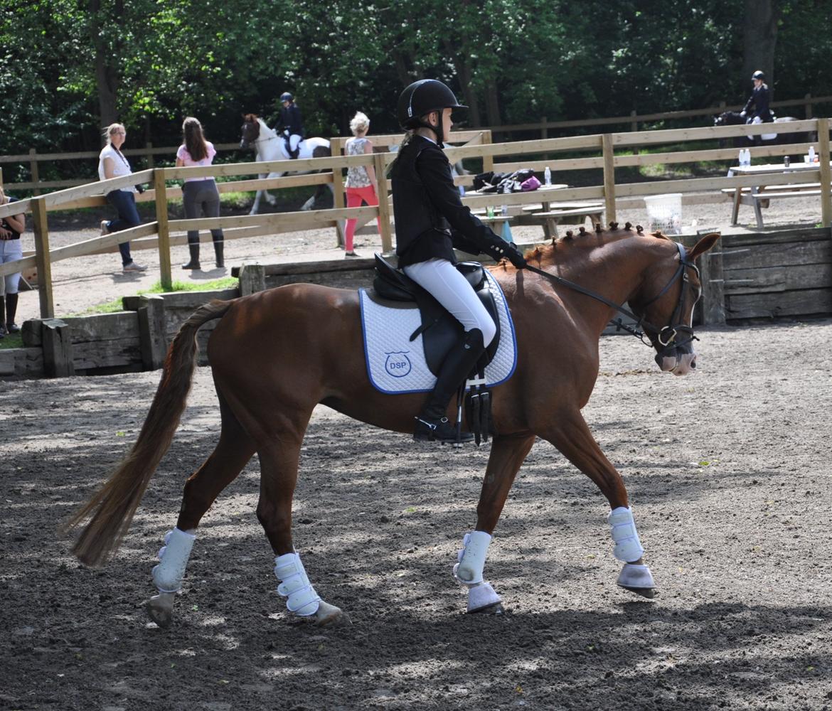 DSP Brandzöed Zoya Bredager - Venter på at komme ind på banen billede 16