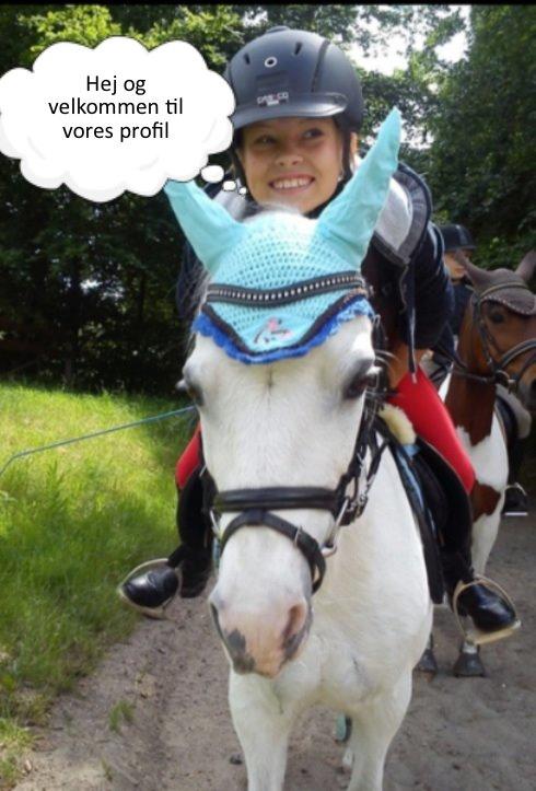 Anden særlig race Ivan billede 1