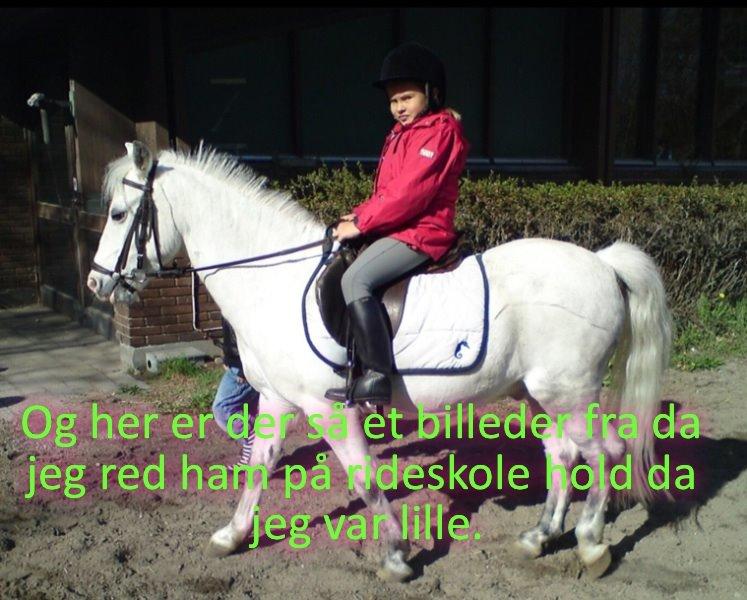 Anden særlig race Ivan billede 3