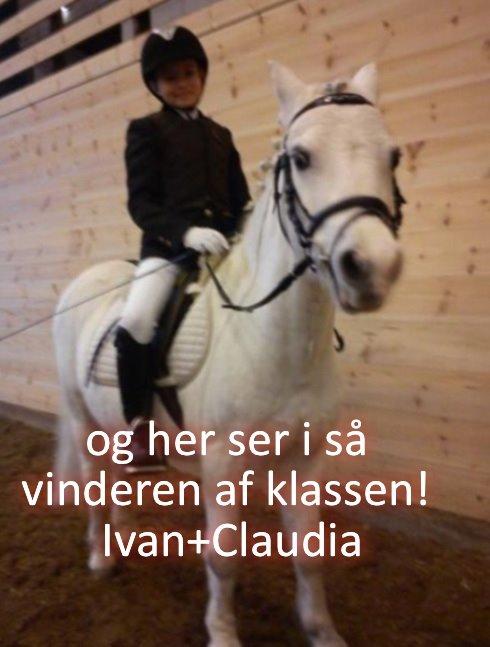 Anden særlig race Ivan billede 5