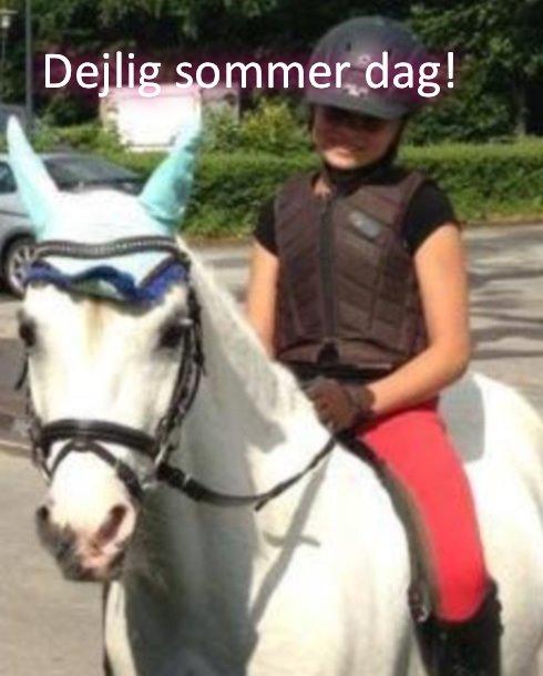 Anden særlig race Ivan billede 6