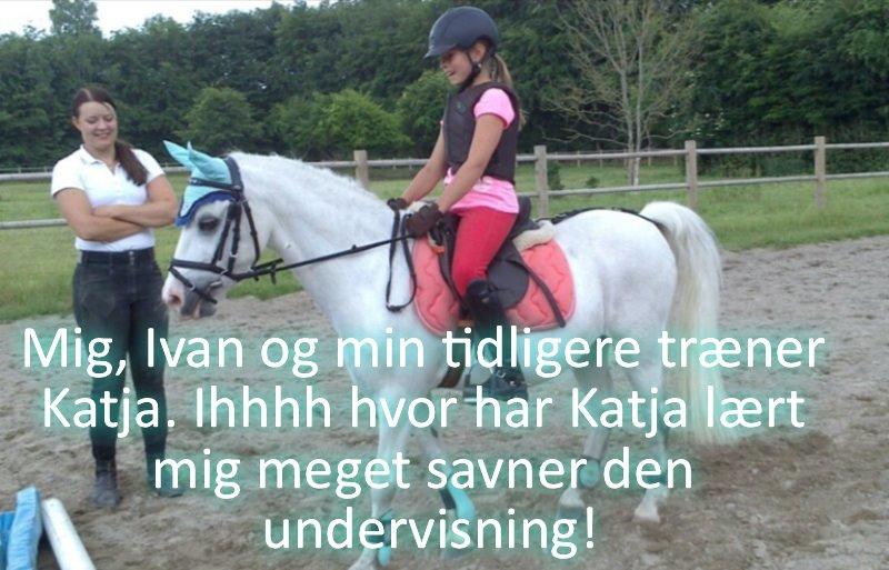 Anden særlig race Ivan billede 7