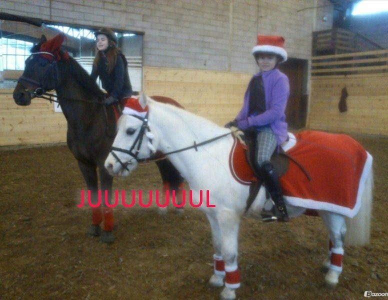 Anden særlig race Ivan billede 9