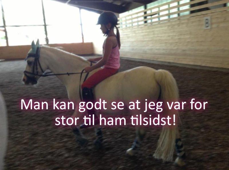 Anden særlig race Ivan billede 11