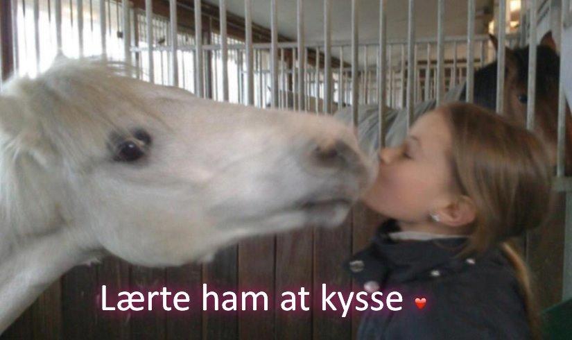 Anden særlig race Ivan billede 10