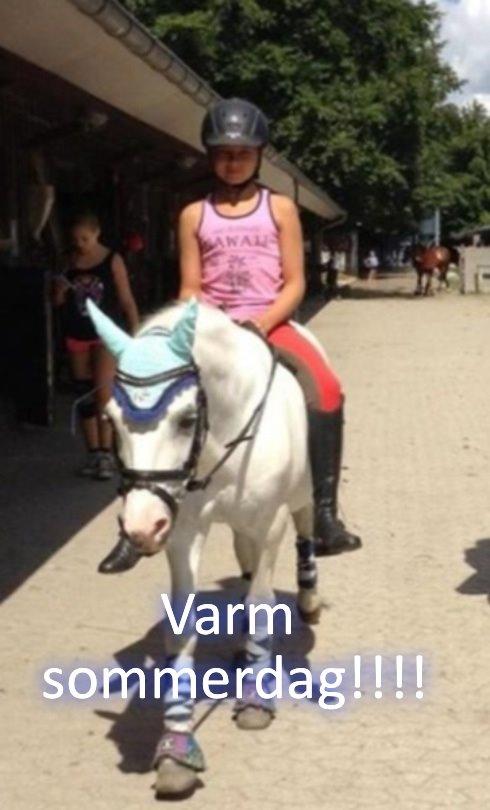 Anden særlig race Ivan billede 14