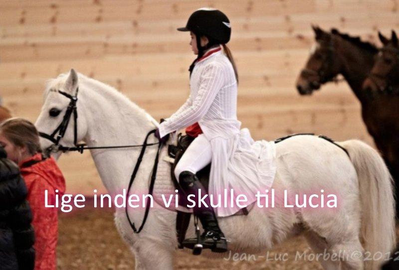 Anden særlig race Ivan billede 13