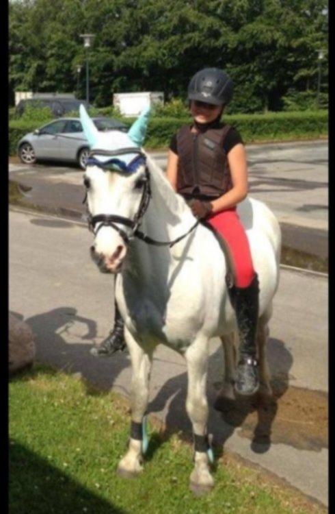 Anden særlig race Ivan billede 17