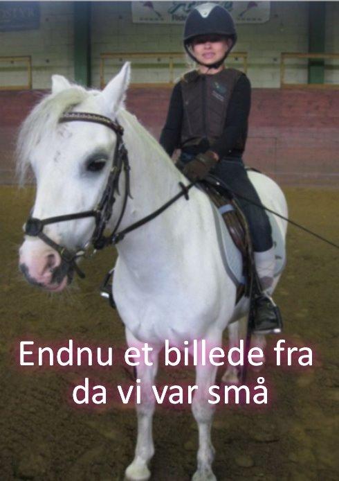 Anden særlig race Ivan billede 18