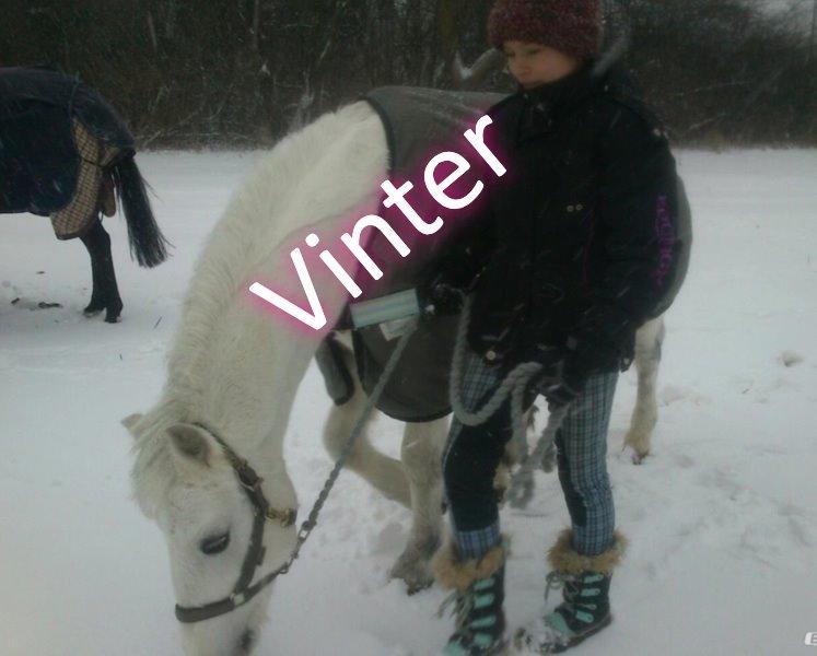 Anden særlig race Ivan billede 19