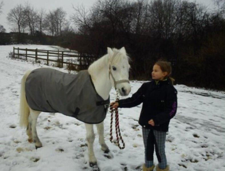 Anden særlig race Ivan billede 20