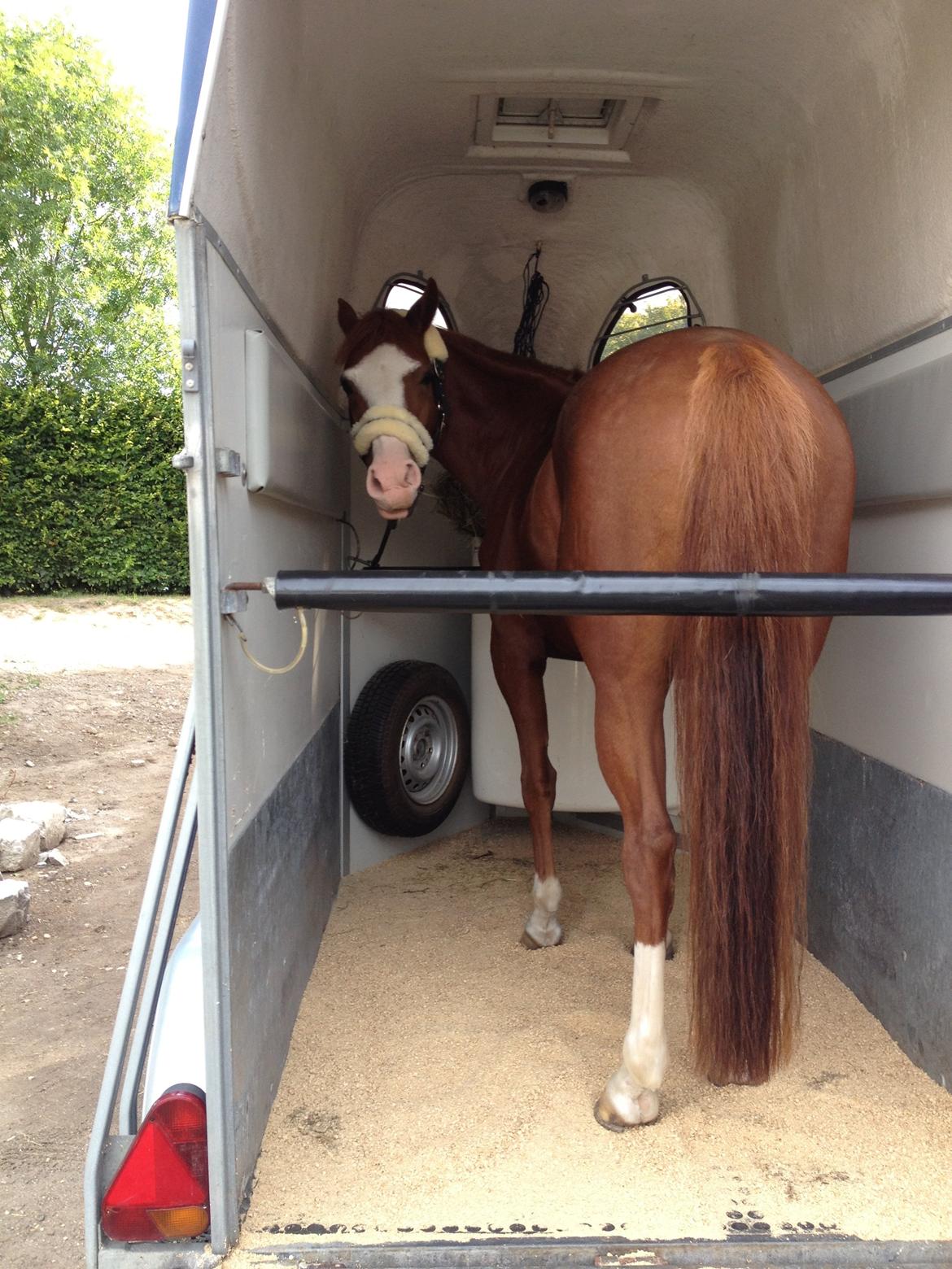 DSP Brandzöed Zoya Bredager - Zoya i traileren billede 14