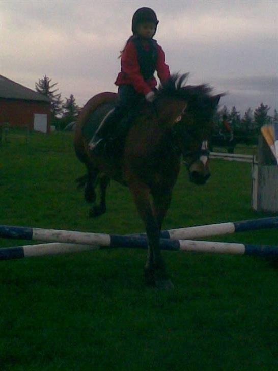 Anden særlig race Jupiter i love you<3 billede 7