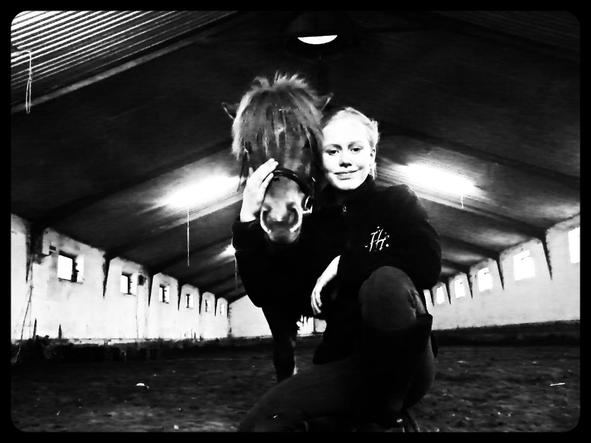 Anden særlig race abbie billede 1