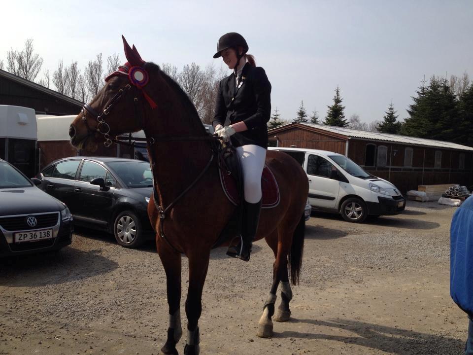 Ungarnsk Varmblod  Lili - Første stævne, nul runde <3 billede 2