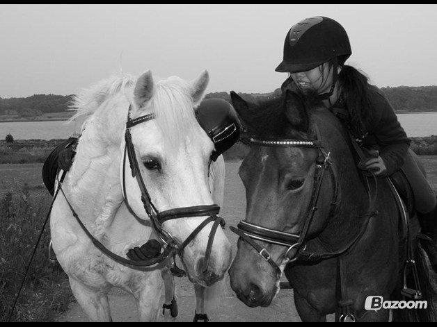 Connemara Hesselholts Marvin <3 - Marvin, Minnie, Niks Biks og jeg :) billede 11