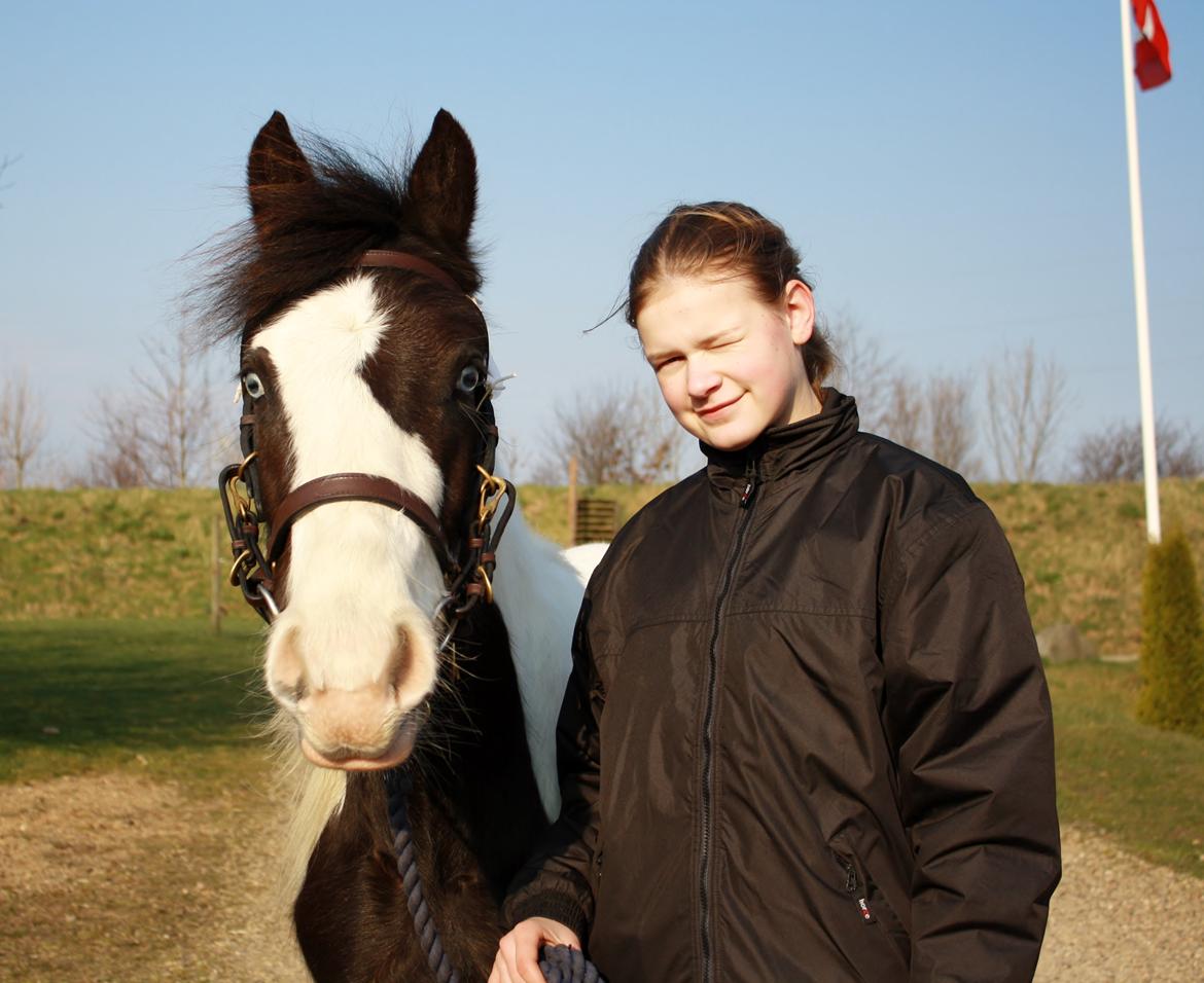Tinker Skovbakkens Maggi May - Maggi og Isabella til Tinkerkåring marts 2014 billede 18