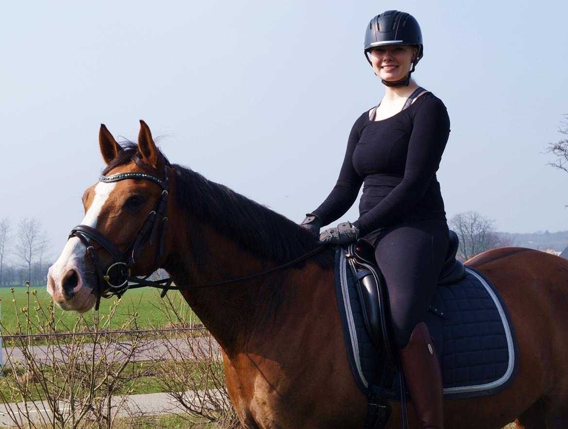 Tysk Sportspony Artos (fedtmulen) B-pony - Jeg vil altid elske dig, ligegyldigt hvad <3 Marts 2014  billede 8