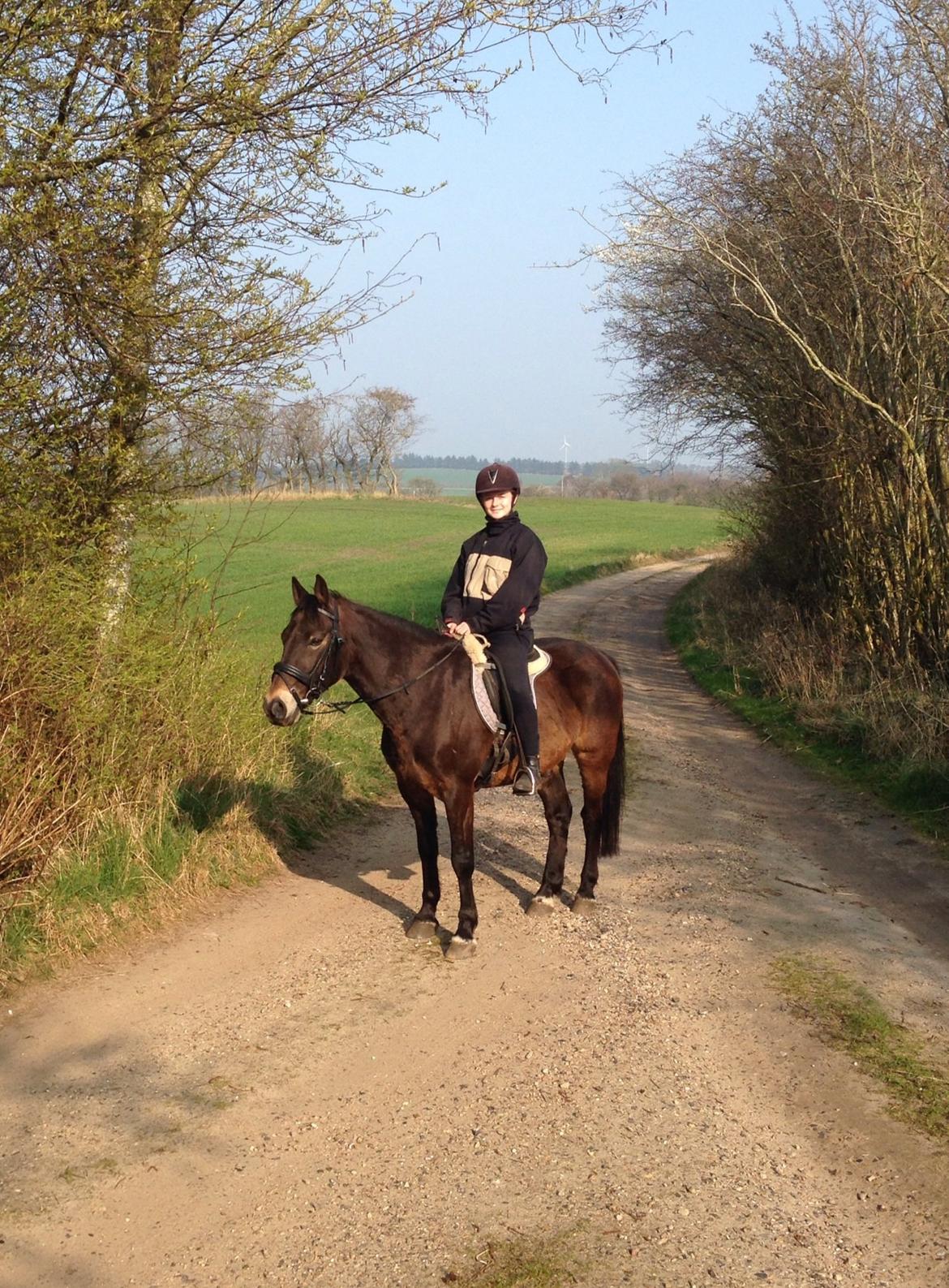 Anden særlig race Oscar - Ossie <3 - SOLGT - På tur med bamsen! Pelsen er begyndt at blive mørkere :-)  billede 11