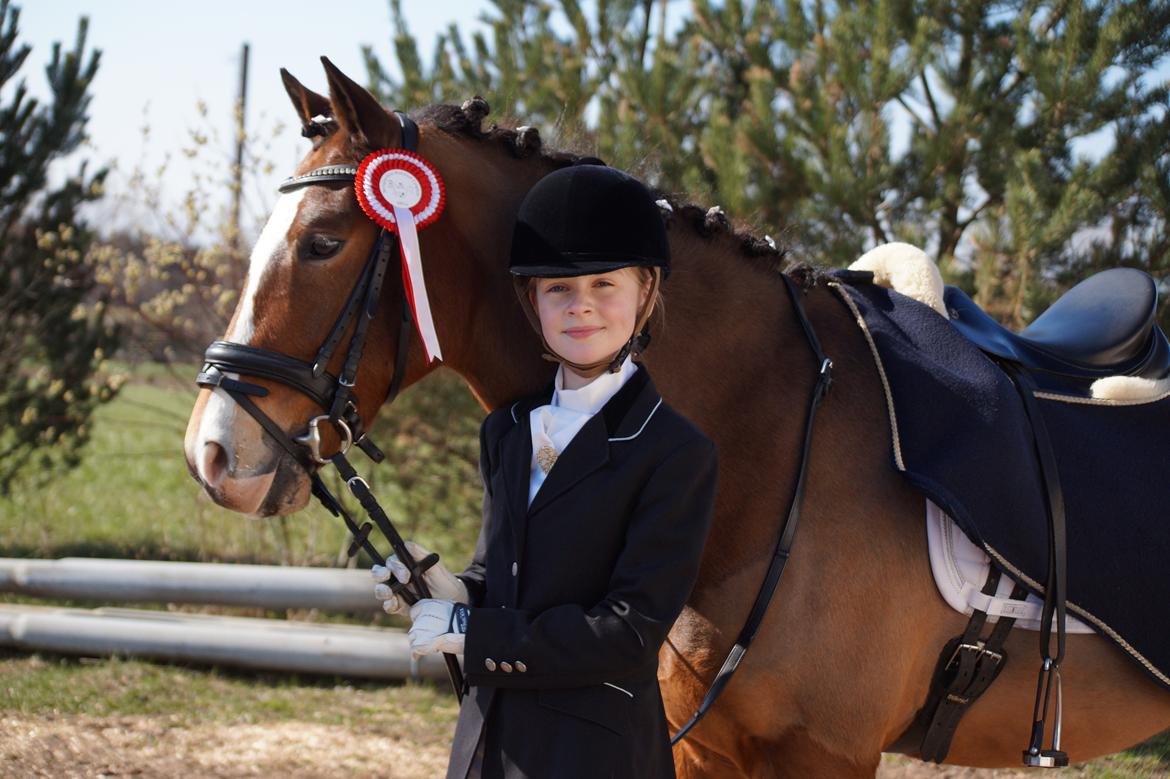 New Forest Remontes Free Fantasy - Louise og Fantasy's første stævne sammen! LD1 til 70.00%! Er en stolt storesøster. billede 16