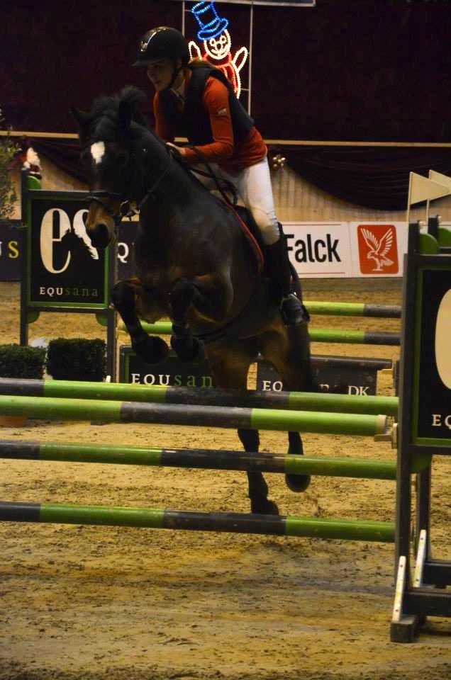 Welsh Cob (sec D) Fronerthig Mary Jane!<3 $$$ - Christmas Show warm up 2013! <3 billede 6