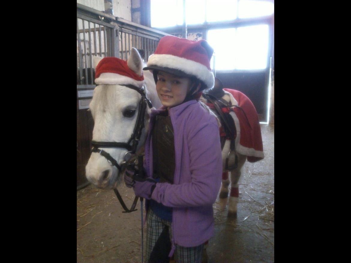 Anden særlig race Ivan billede 21