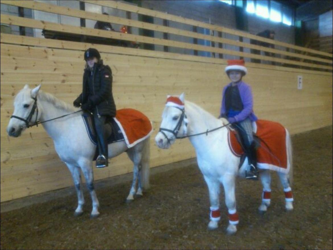 Anden særlig race Ivan billede 22