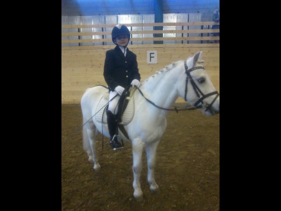 Anden særlig race Ivan billede 24