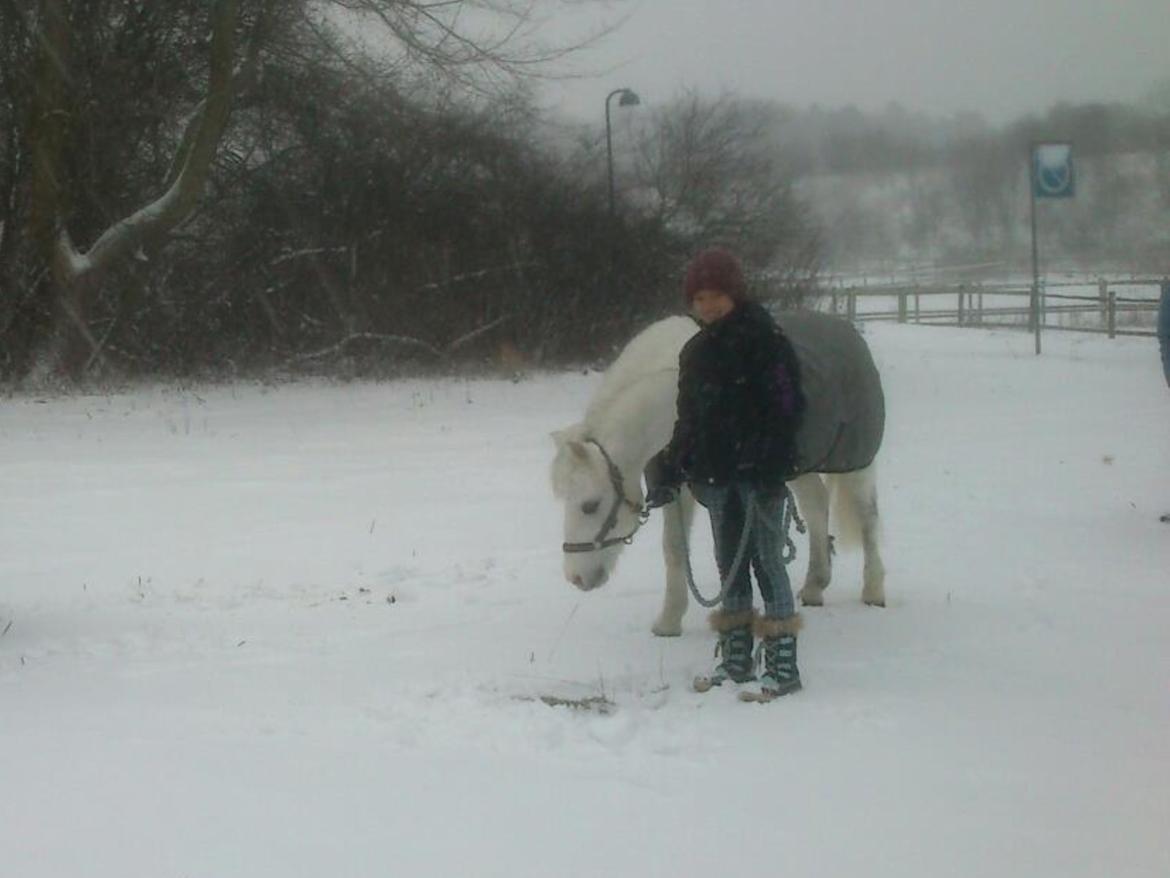 Anden særlig race Ivan billede 25