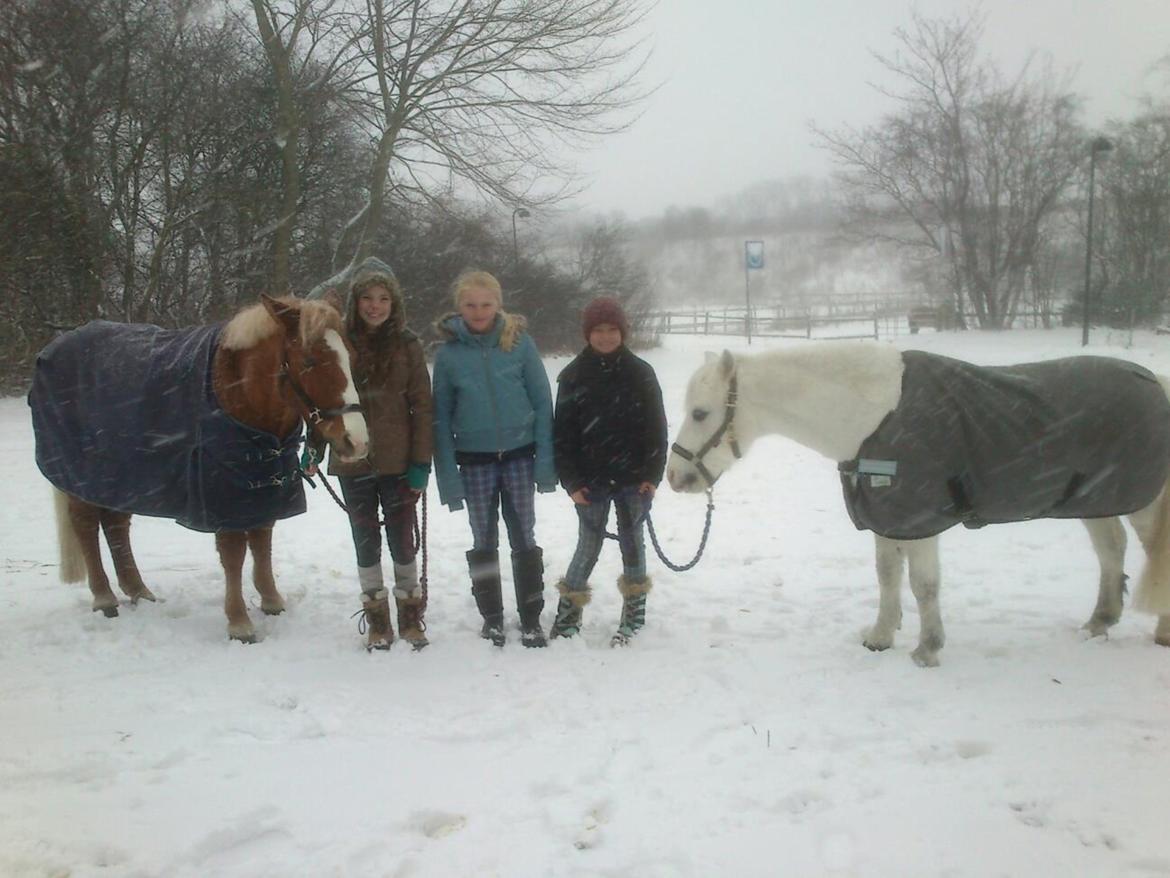 Anden særlig race Ivan billede 26