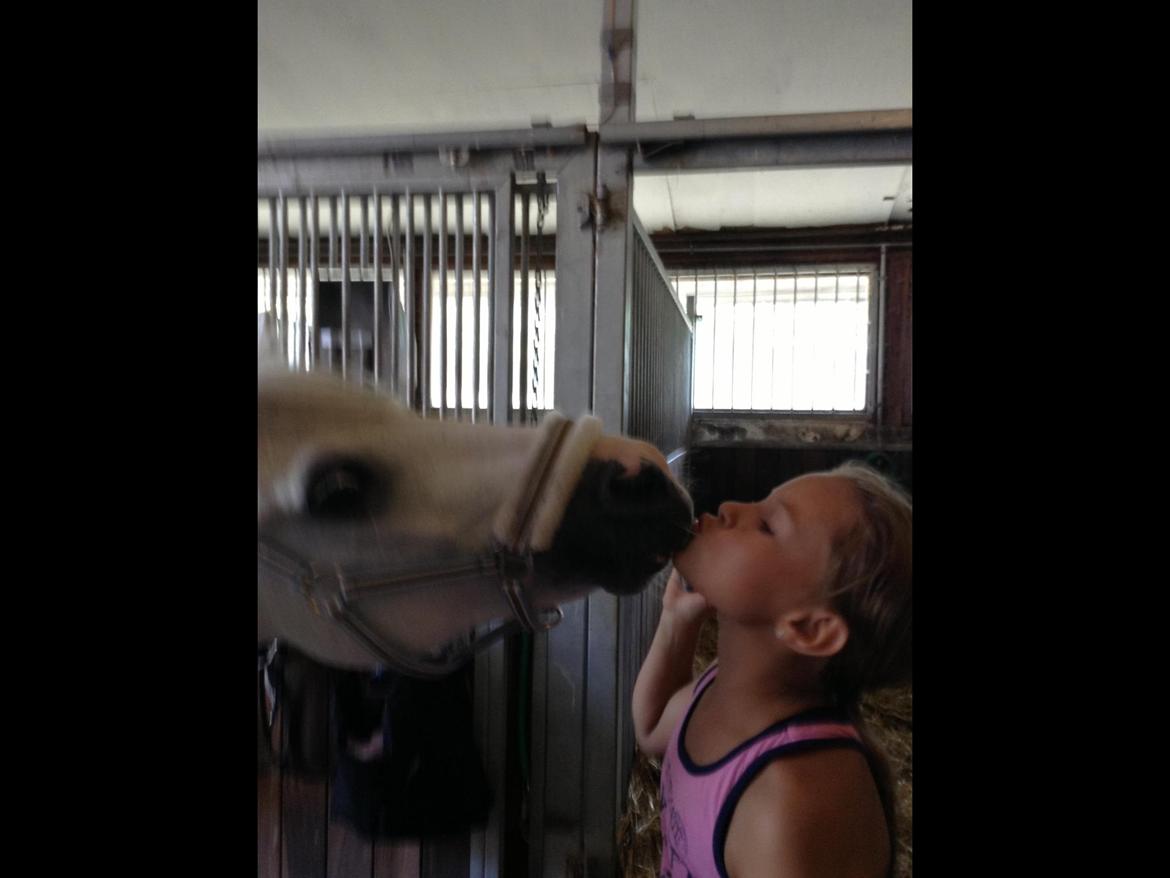 Anden særlig race Ivan billede 27