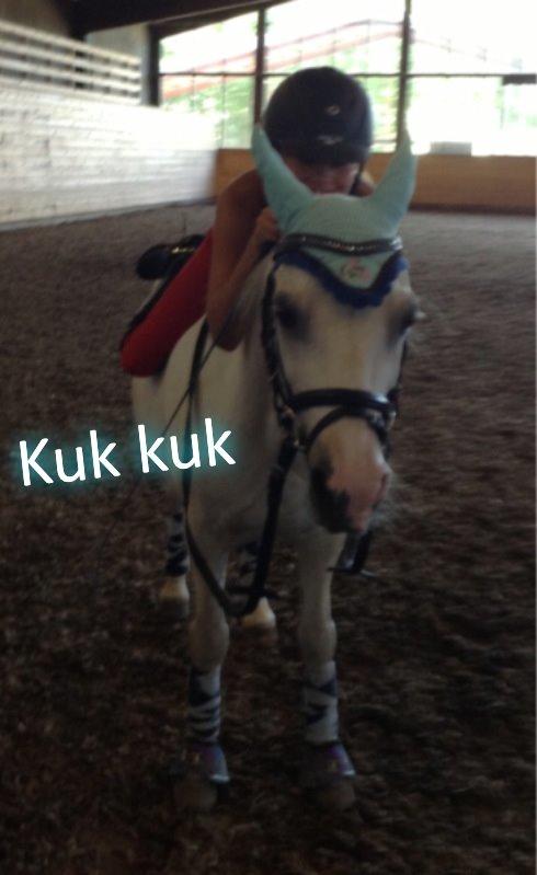 Anden særlig race Ivan billede 28