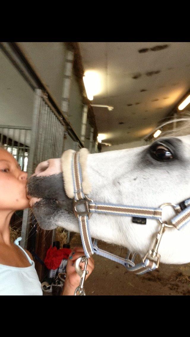 Anden særlig race Ivan billede 31