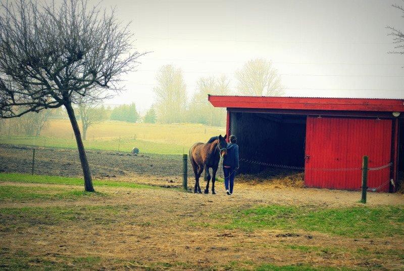 Anden særlig race Clint - 31/03-14 billede 13