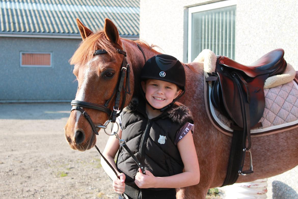 DSP Ll. sludekildes Faust billede 16