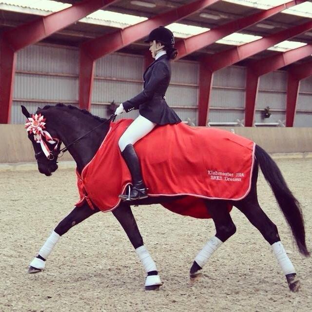 Trakehner EGATTA - Klubmester dressur 2014 <3 Fotograf: Mor billede 11