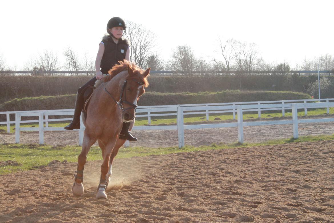 DSP Ll. sludekildes Faust billede 17