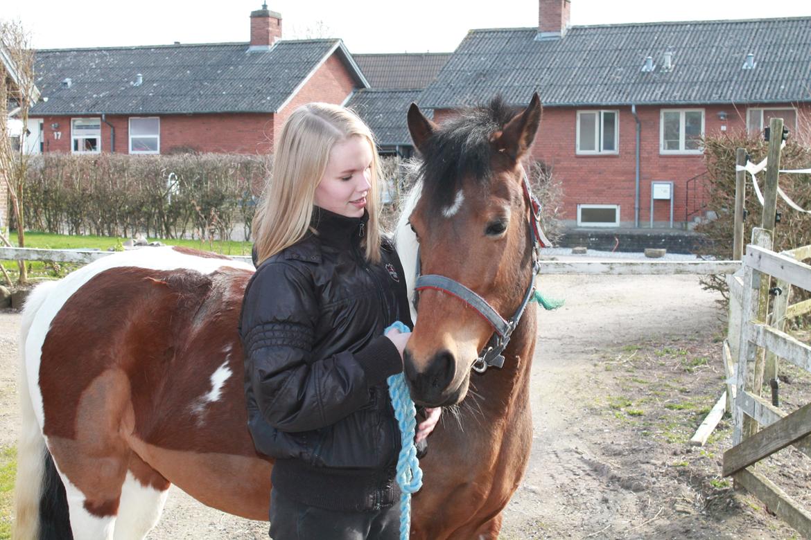 Anden særlig race Flicka [ELEVPONY] - Model 31.03.14 billede 2