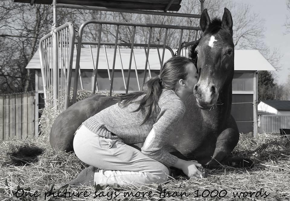 Anden særlig race Wilma - SJ Foto. One picture says more than 1000 words! billede 8