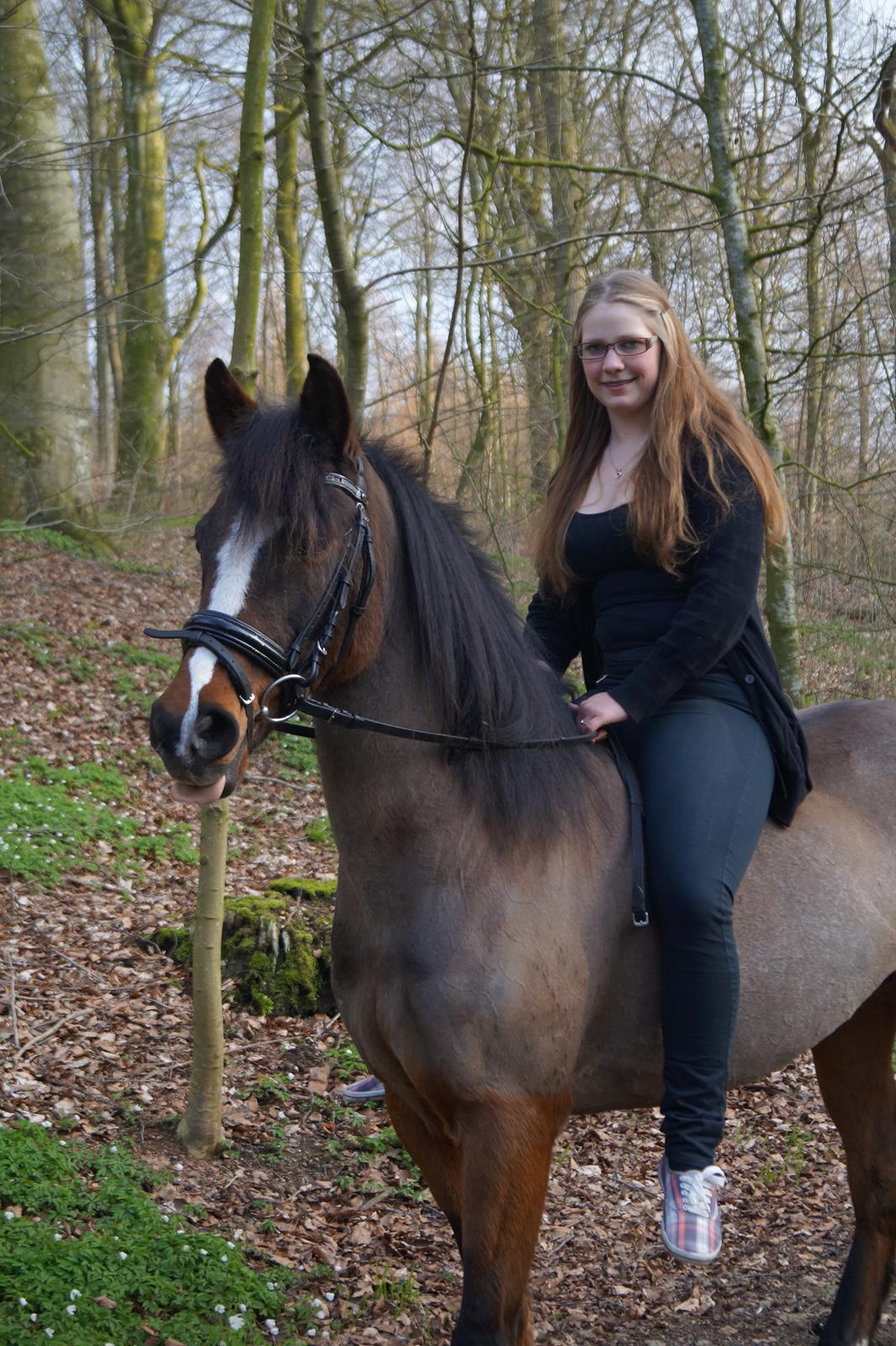 Anden særlig race Smilla billede 19