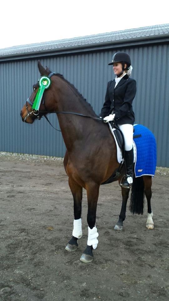 Anden særlig race Farissa - LC1 til 69 %  billede 19