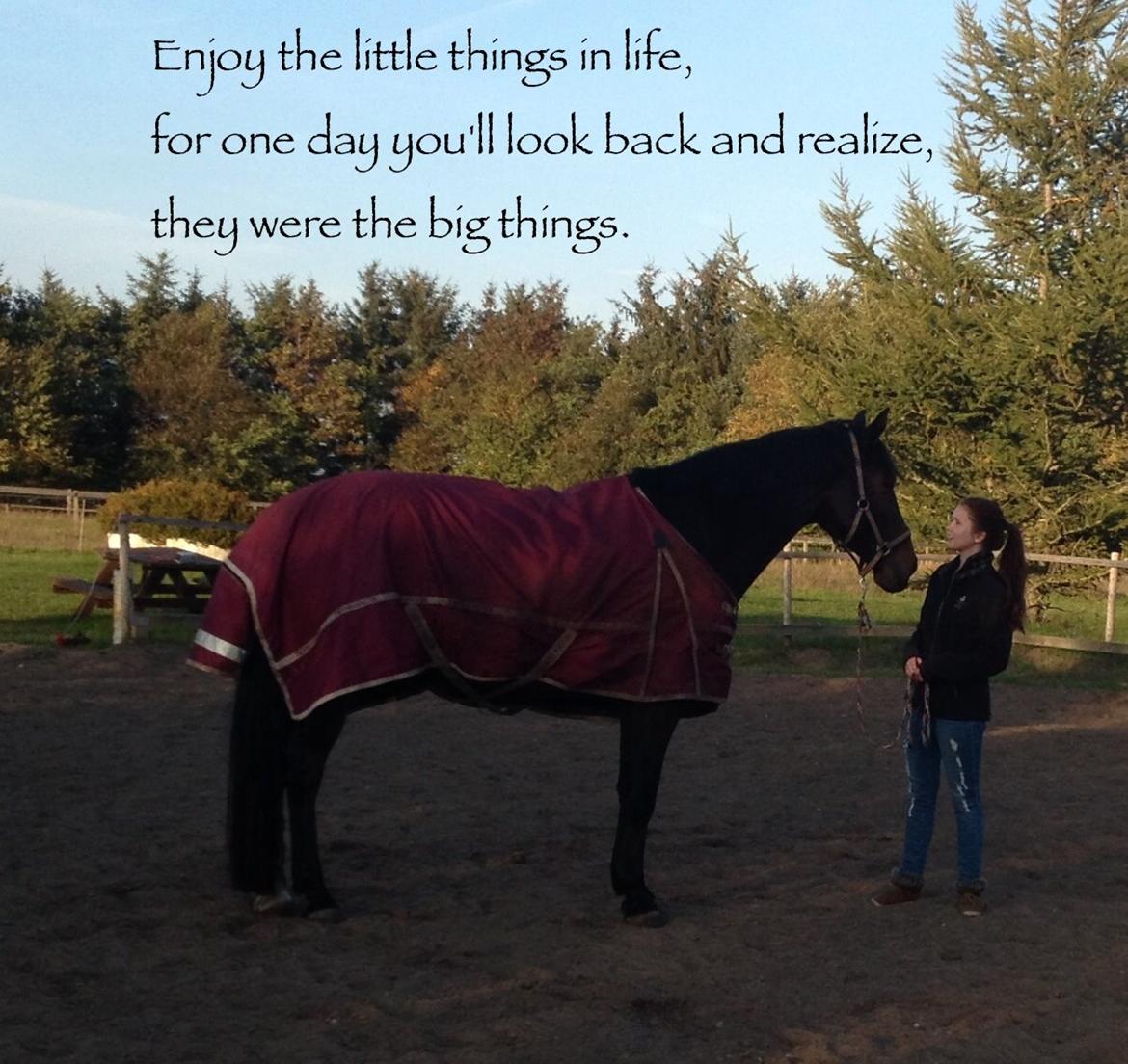 Anden særlig race Farissa billede 1