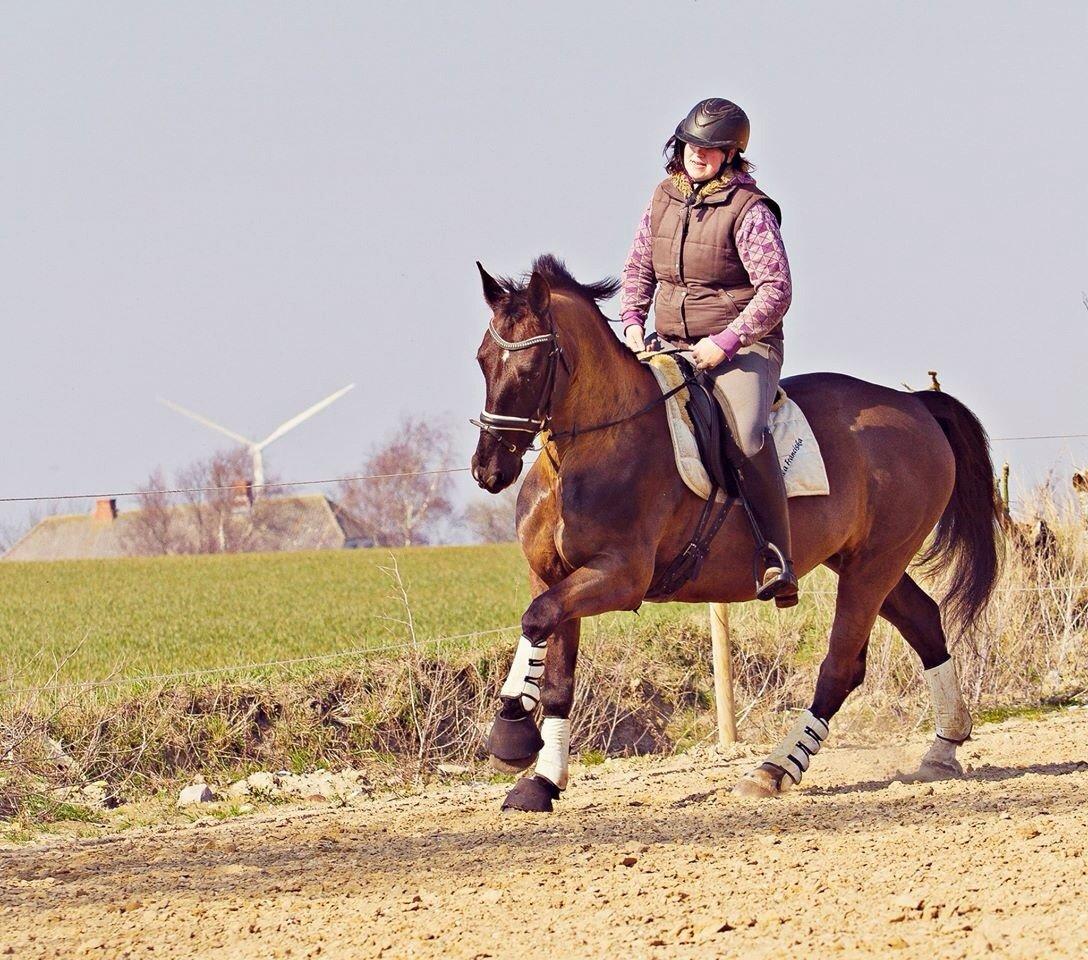 Oldenborg Damgaardens Martine billede 18