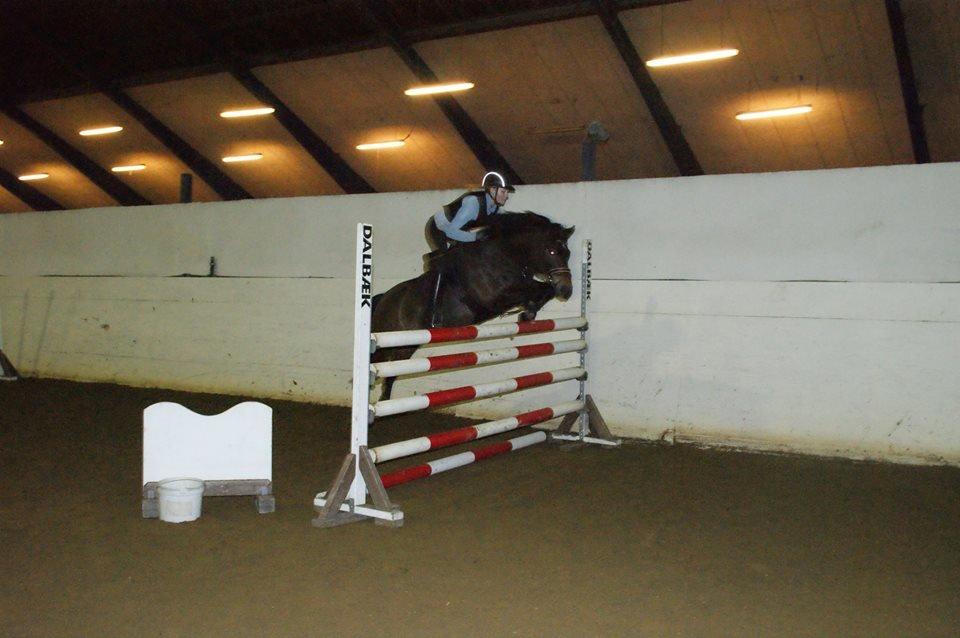 New Forest Glenwood Maple Hill - Maple til højdespring på Tronsøskolen. Snupper da lige 1. pladsen med 130cm ;-) billede 3