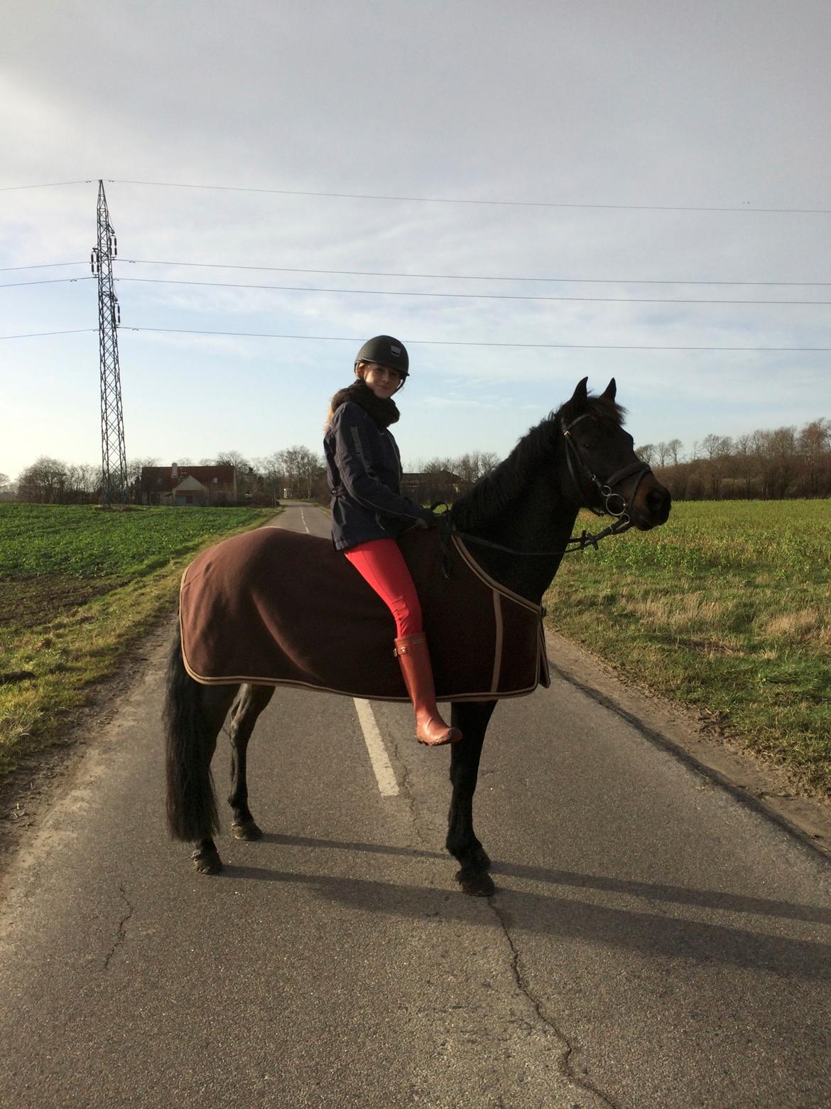 Anden særlig race Black boy billede 14