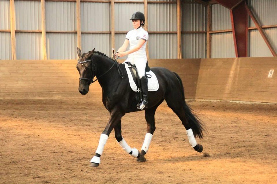 Dansk Varmblod Bornhøfts Black Luc - Dressurstævne d. 30/3-14 billedet er taget af søde Ilona Baunkjær.  billede 10