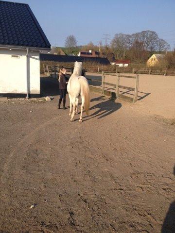 Anden særlig race Turgon - Første dag hos mig billede 3