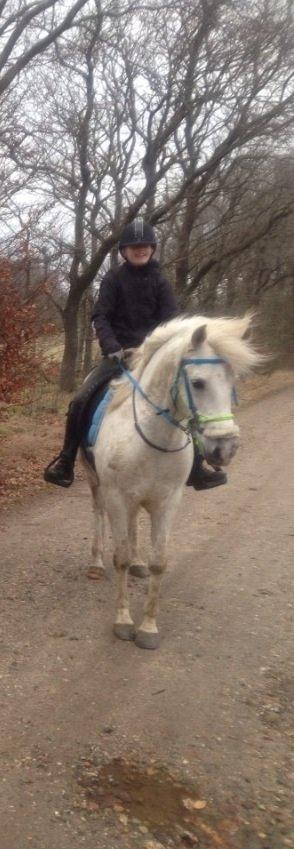 Anden særlig race Turgon - Første tur på ham billede 6