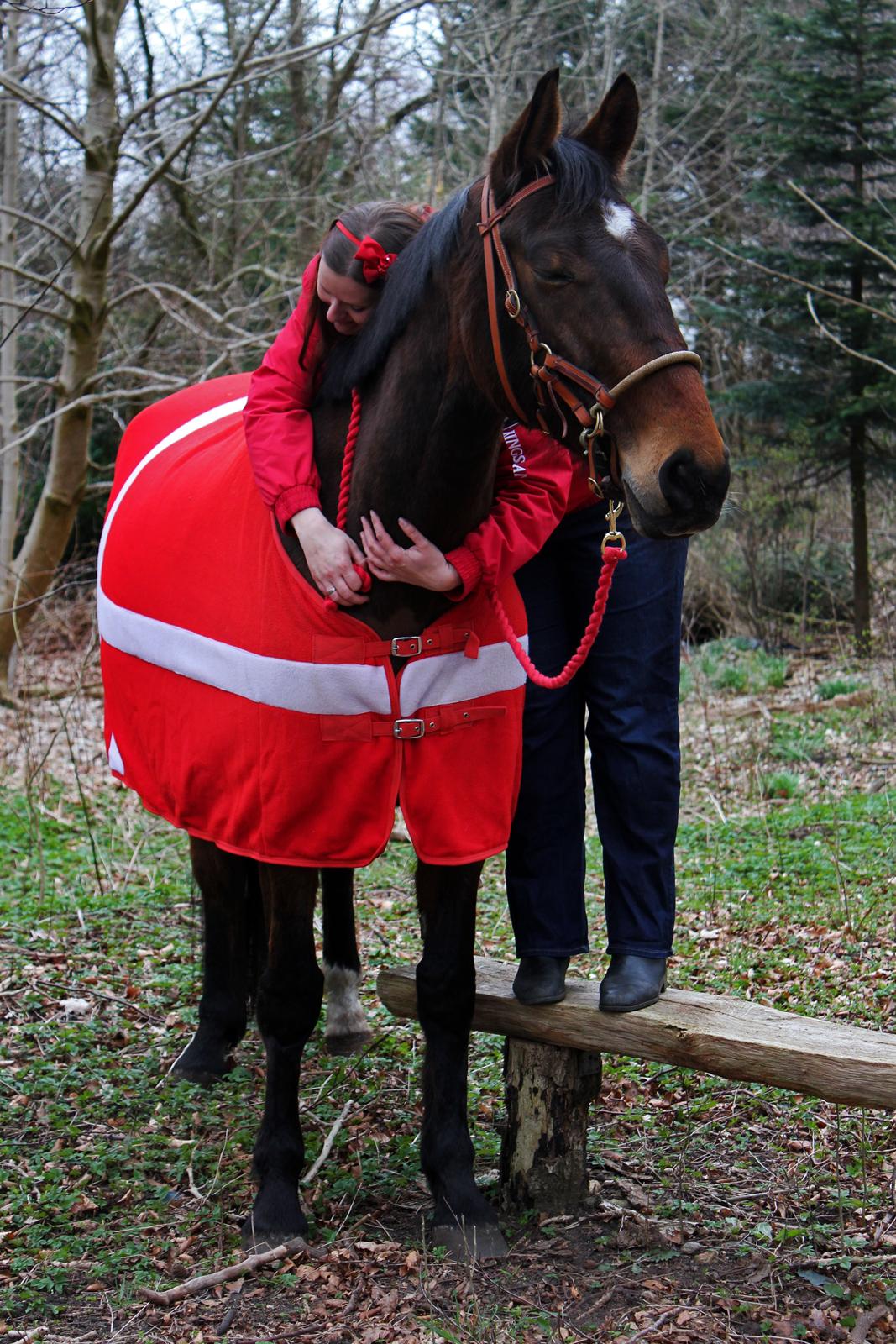 Anden særlig race Kaliffen (Givet Væk) *For Evigt Elsket <3* - 5 års dag med Liffen :') (1 april 2014) billede 3